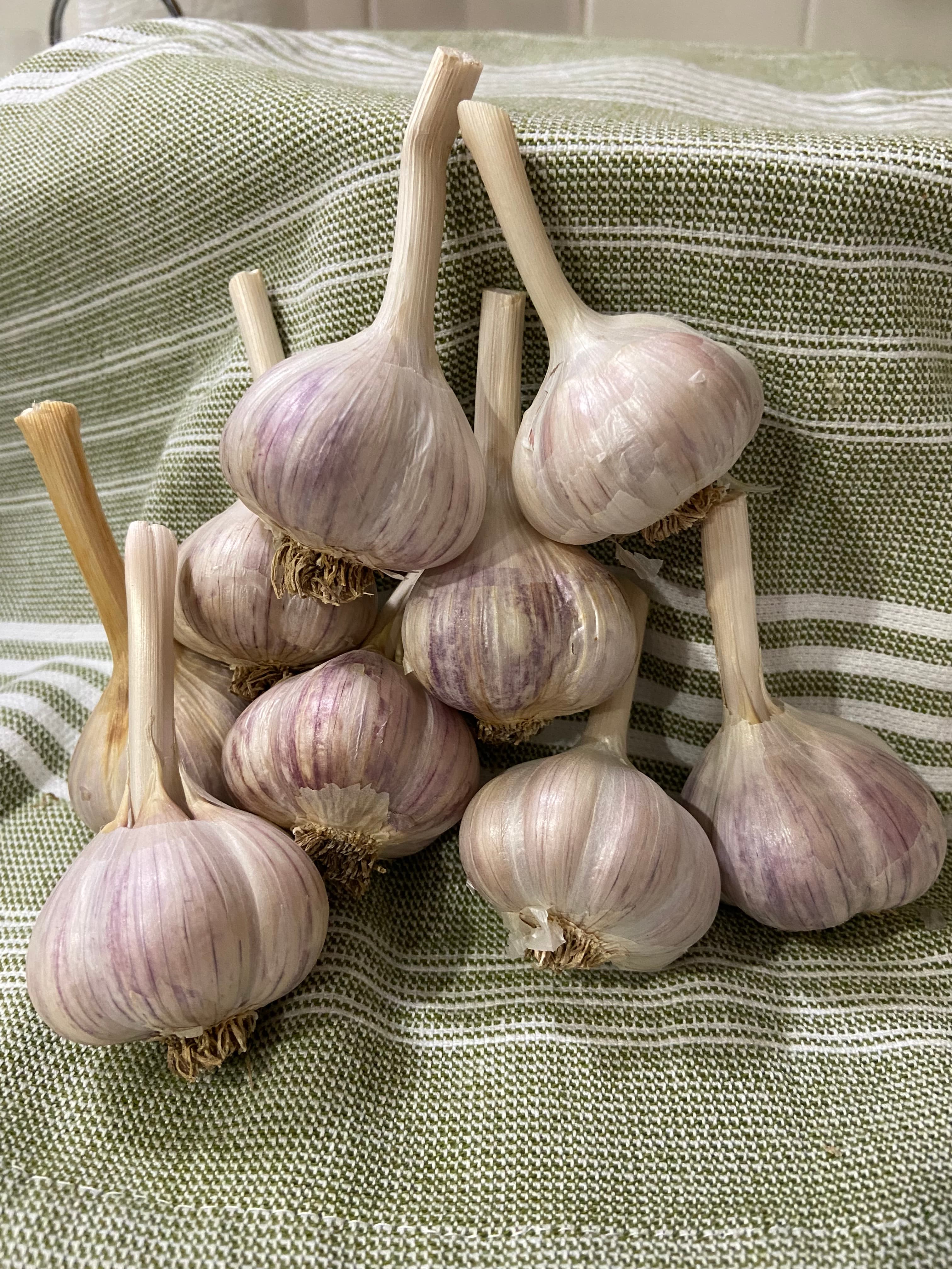 Heirloom Fire! (Pre Order)